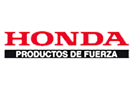 Logo 6